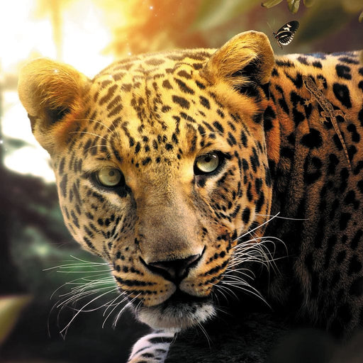 Leopard - Zenzdesign Canvas Print