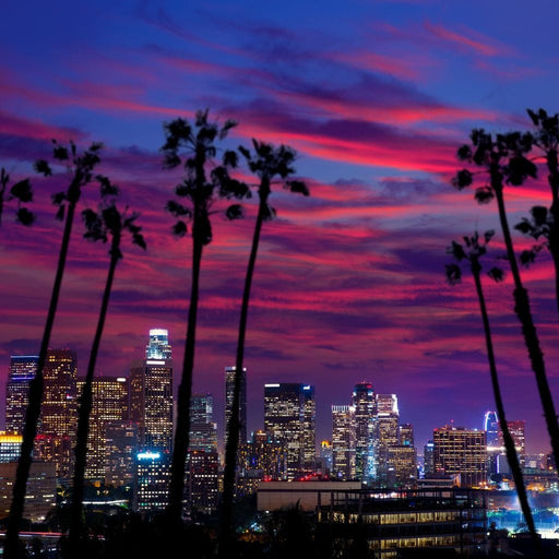 Downtown LA Canvas Print