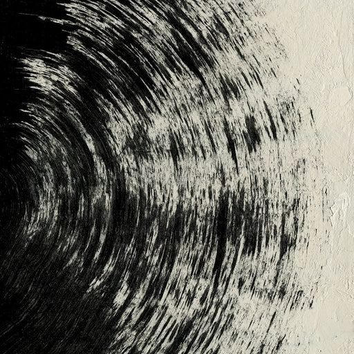 Abstract Black Circle - Evgeny Vetrov Canvas Print