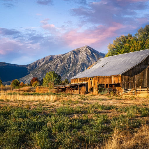Sunrise at the Ranch - Terrie Gray Canvas Print