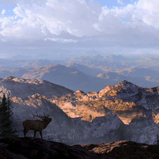 Elk by the Mountains - Canvas Print - photorealistic wall print of elk hunting and a stunning view - this wall decor creates a warm environment for anyone in the room | NicheCanvas