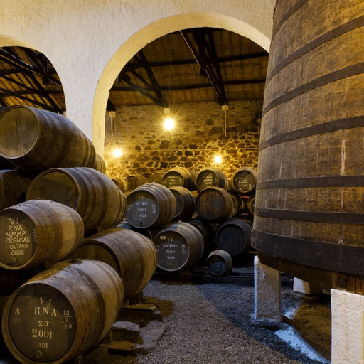 Aging Wine - Canvas Print - photorealistic wall art representing aging wine - this stunning art decor is perfect for anyone looking for a beautiful addition to their office | NicheCanvas