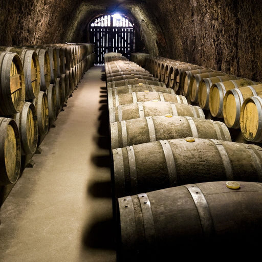 Hillside Wine Cellar - Canvas Print - vintage wall art of an old wine cellar with barrels - this unique canvas painting is perfect for your home and office | NicheCanvas