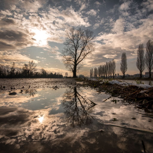 Reflections - Enzo Canvas Print