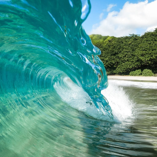 Crystal - Lucas Moore Canvas Print