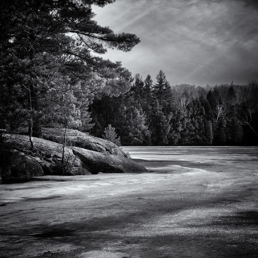 Gullwing Lake - Brian Carson Canvas Print