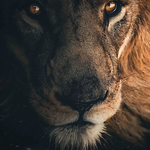 Lion Portrait Water - Zenzdesign Canvas Print