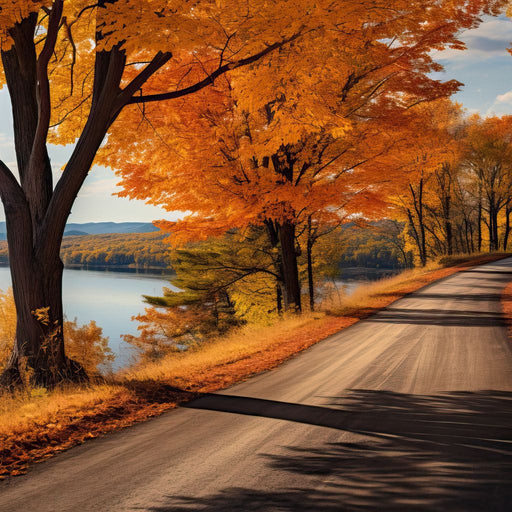 Lone Fall Road Canvas Print
