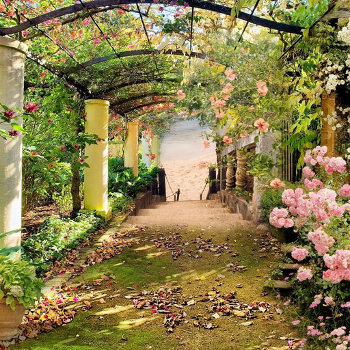 Floral Walkway Canvas Print