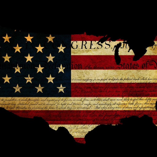 Declaration of Independence Canvas Print