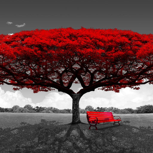 Romantic Tree Canvas Print