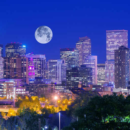Denver Skyline Canvas Print