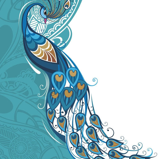 Peacock on Turquoise & White Background Canvas Print