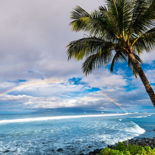 Hawaiian Landscape - Lucas Moore Canvas Print