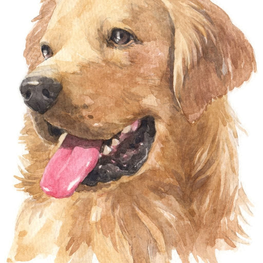 Golden Retriever Canvas Print