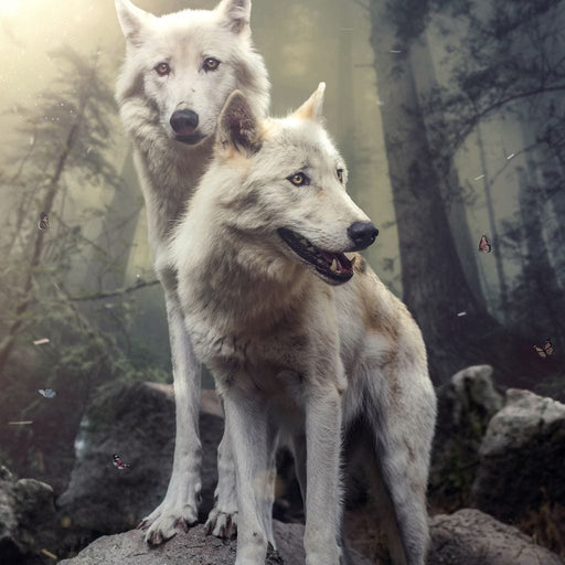 Double Wolves - Zenzdesign Canvas Print
