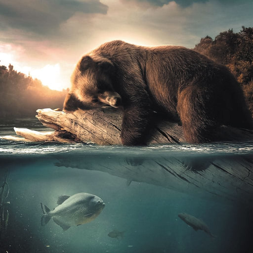 Floating Bear - Zenzdesign Canvas Print