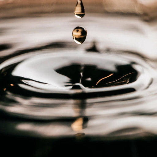 Drop - Manuel Alejandro Canvas Print