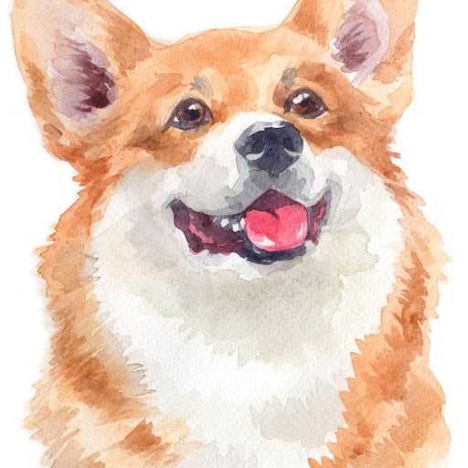 Welsh Corgi Canvas Print
