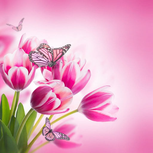 Bouquet of Pink Tulips & Butterflies Canvas Print
