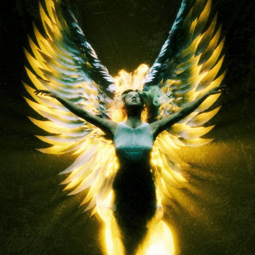 Angel Wings in Awe - G'n Art Canvas Print