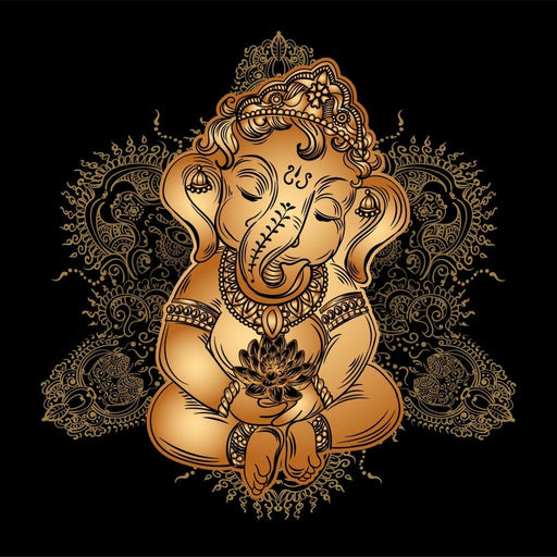 Baby Ganesh Canvas Print