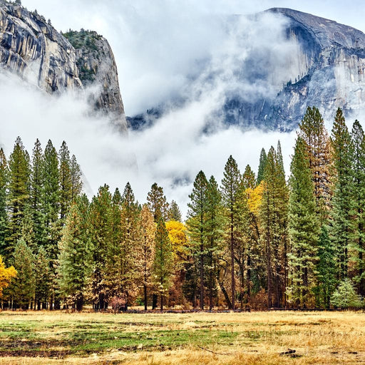 Yosemite National Park Canvas Print
