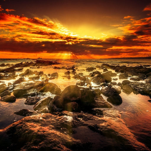 Orange Sunset - Johanjjf - Canvas Print - stunning wall art of a rocky beach and a beautiful blood orange dusk - this art decor features a stunning balance of color | NicheCanvas