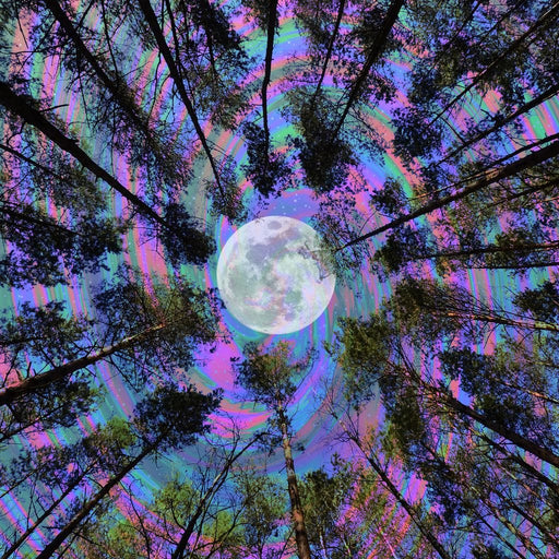 Moon Swirl - Cajuca Canvas Print