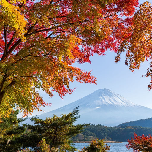 Autumn Trees by Mount Fuji Canvas Print