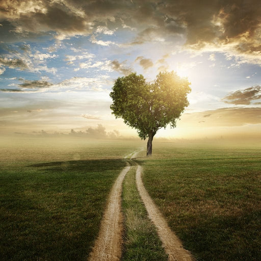 Loving Tree Canvas Print