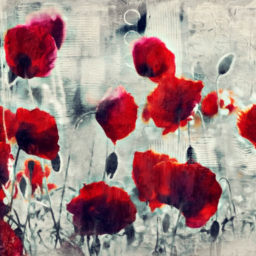 Poppies - Mateo Canvas Print