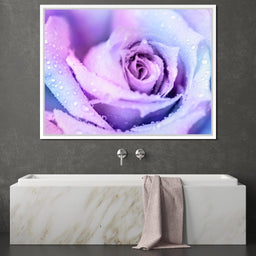 Winter Rose - NicheCanvas