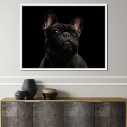 Black French Bulldog - NicheCanvas