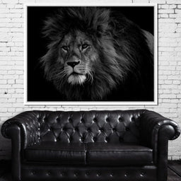 Majestic - Johanjjf - NicheCanvas