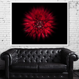 Backyard Flowers 45 - Brian Carson - NicheCanvas