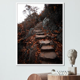 Autumn Path - Lucas Moore - NicheCanvas