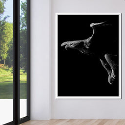 Black and White Eagle - NicheCanvas