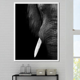 Black and White Elephant Close up - NicheCanvas