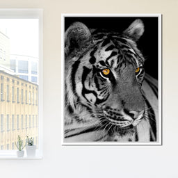 Black and White Tiger with Yellow Eyes - NicheCanvas