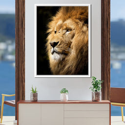 Lion View - Milos Karanovic - NicheCanvas