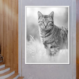 Black & White Kitty Cat - Ben Heine - NicheCanvas