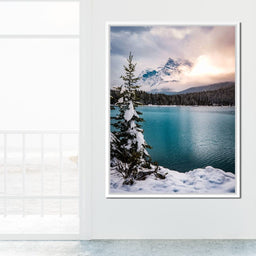 Winter Wonderland - Lucas Moore - NicheCanvas