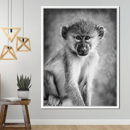 Monkey in Black & White - NicheCanvas