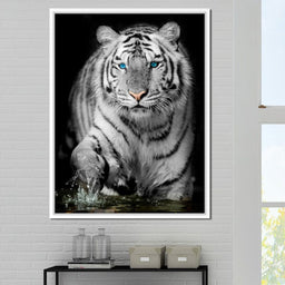 Blue Eyed Snow Tiger - NicheCanvas