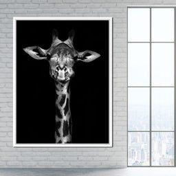 Black and White Giraffe - NicheCanvas