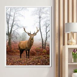 Red Deer Stag - NicheCanvas