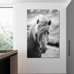 Icelandic Horse - NicheCanvas