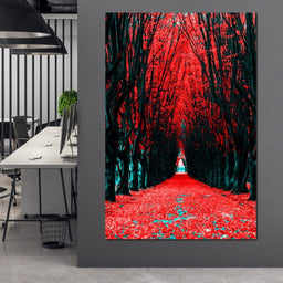 A Walk to Remember - Johanjjf - NicheCanvas