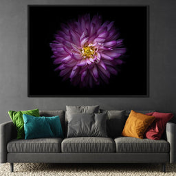 Backyard Flowers Series 1 - Brian Carson - NicheCanvas